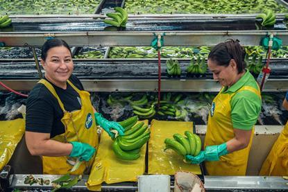 Fyffes Bananas support hundreds of thousands of jobs across Latin America and other production regions