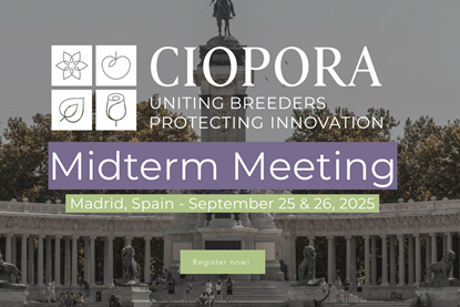 Ciopora conference