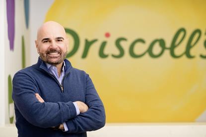 Wadih Khayat, CFO of Driscoll's