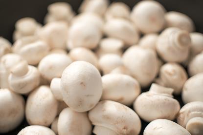 131012 - Champignons -angeAdobeStock