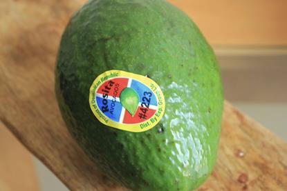 DR avocados