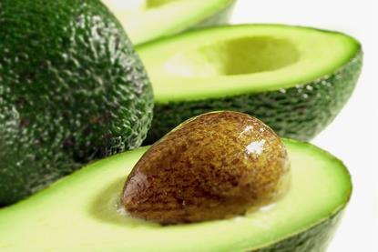 avocado-seen0001 - AdobeStock