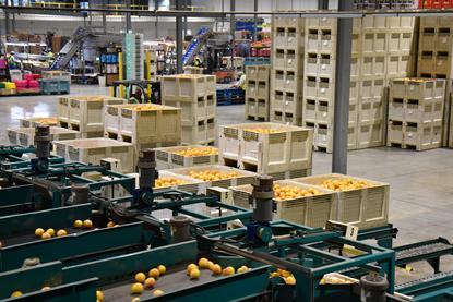 IMG Citrus Sweet Sixty Packhouse