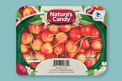 Natures Candy Rainier cherries CMI