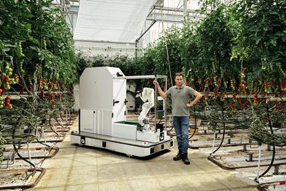 Jeffry Van Noord with Eternal.ag's Harvester in tomato greenhouse