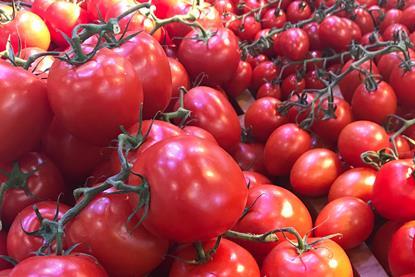 Tomatoes