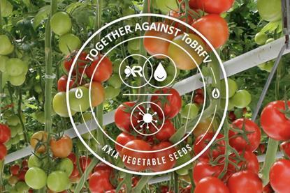 Axia Vegetable Seeds ToBRFV