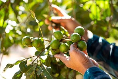 Foto: phitak - AdobeStock