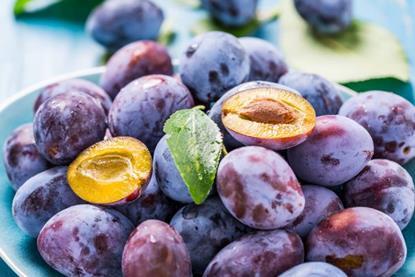 Foto: Brebca - AdobeStock