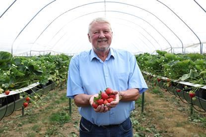 Nick Marston has been a kingpin of the British berry industry for more than two decades