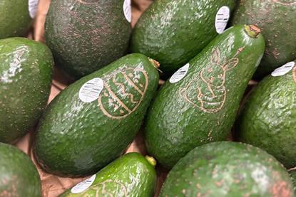 Costa laser etched avocados Easter promotion