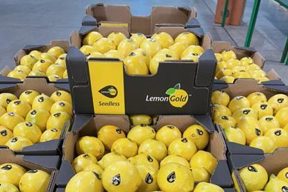 LemonGold Boxes