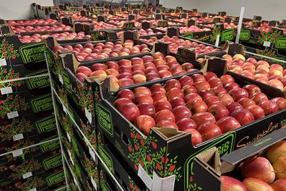 Genesis Fresh apple storage Poland