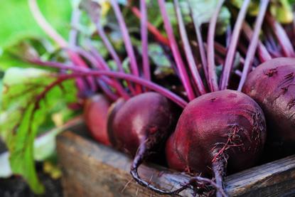 The breakthrough in market access is part of the NFU’s ambition to grow UK agri-food exports by 30 per cent to £33 billion by 2030