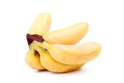 Foto:  Jenny Sturm - AdobeStock