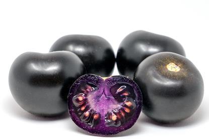 The Purple Tomato