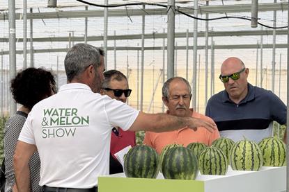 Semillas Fito melon and watermelon show