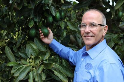 California Avocado Commission vice president of marketing Terry Splane