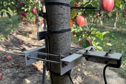 Dendrometer