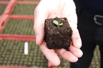 Growers are looking at how to reduce peat usage