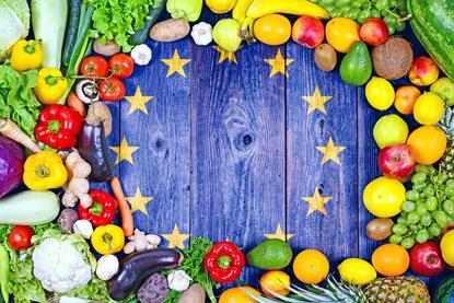 EU flag fruit and vegetables