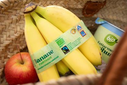 Titelbild_FairTrade_Bananen