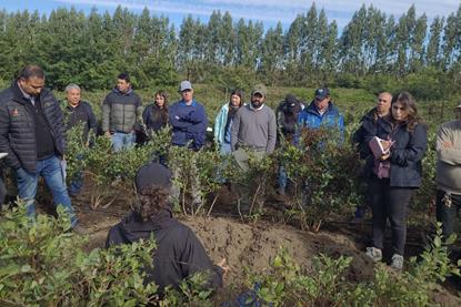 CBC regenerative agriculture