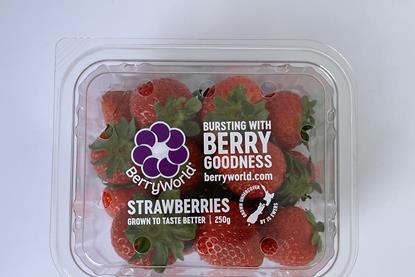 BerryWorld-NZ-Punnet