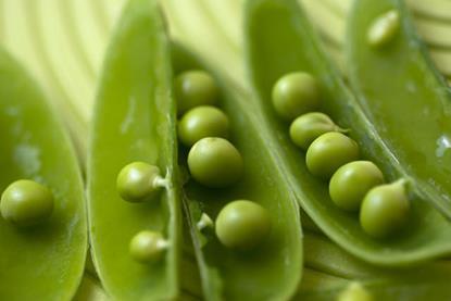 The project should boost pea production