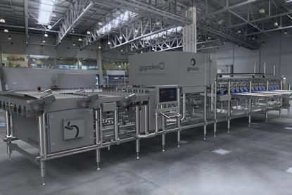 GP Graders GP Vision blueberry sorting grading