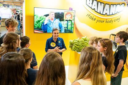 Australian_Bananas_55