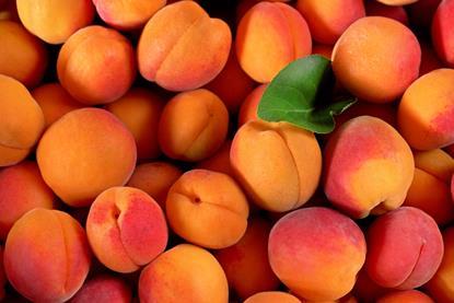 Foto: Lubo Ivanko/AdobeStock