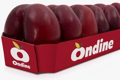Ondine pack flat nectarines
