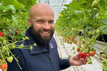 Paul Avery BerryWorld