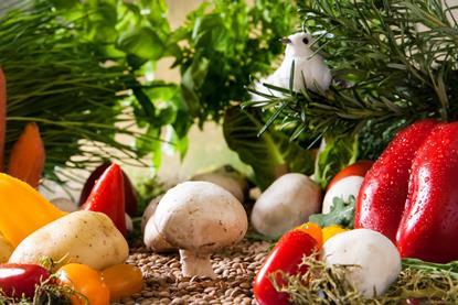 vegetables-landscape-2943500_1920