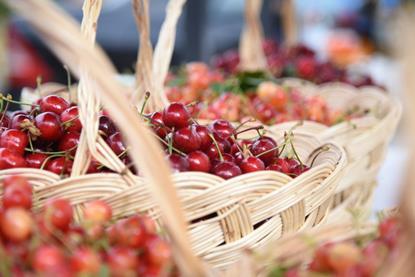 Albanian cherries A