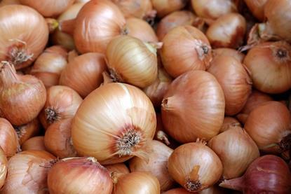 FBR is hugely damaging to onions