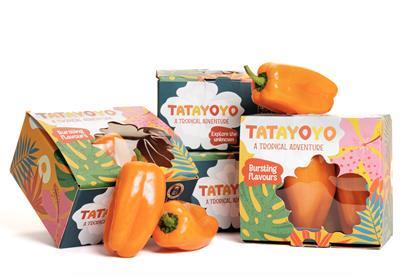 Rijk Zwaan Tatayoyo pepper boxes 2026
