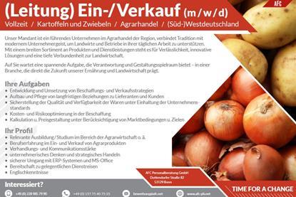 Stellenanzeige Leiter Ein-Verkauf