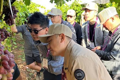 Grapa Global hosts international buyers for its Australian Arra Fire Crunch field day