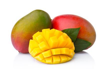 AdobeStock_178731454