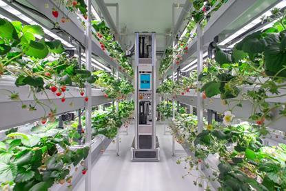 Sumitomo Corporation HarvestX automated strawberry pollinator