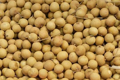 Thai longan