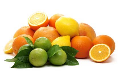 Citrusfrüchte-Mischung