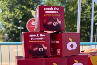 IT Ondine flat nectarines 2