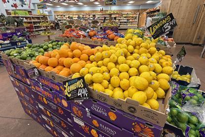 USA Trader Joes New York citrus