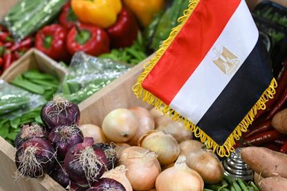 Egypt Fruit Logistica