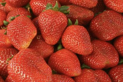 Strawberries