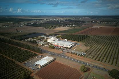Marquis Macadamias factory_ Bundaberg, Queensland, Australia (1)