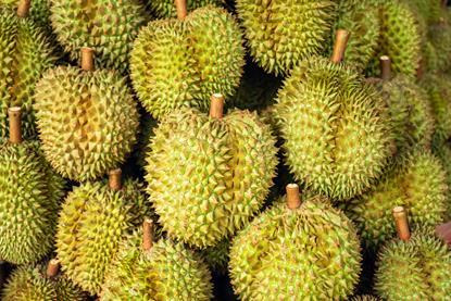 Durian